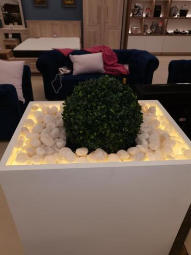 Singer Mega Jaela Project